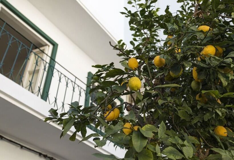 بنسيون Lemon Hostel Faro