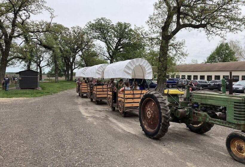 بنسيون Sycamore Springs