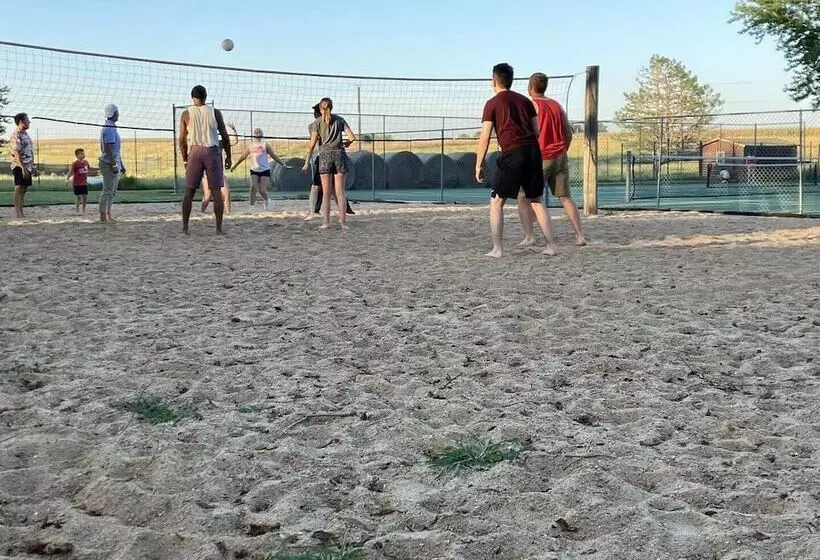 ペンション Sycamore Springs