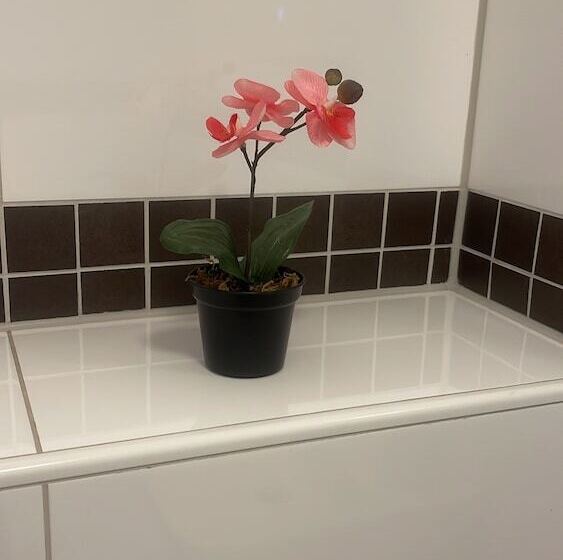 Hostel Zimmer In Wesseling Brühlerstr