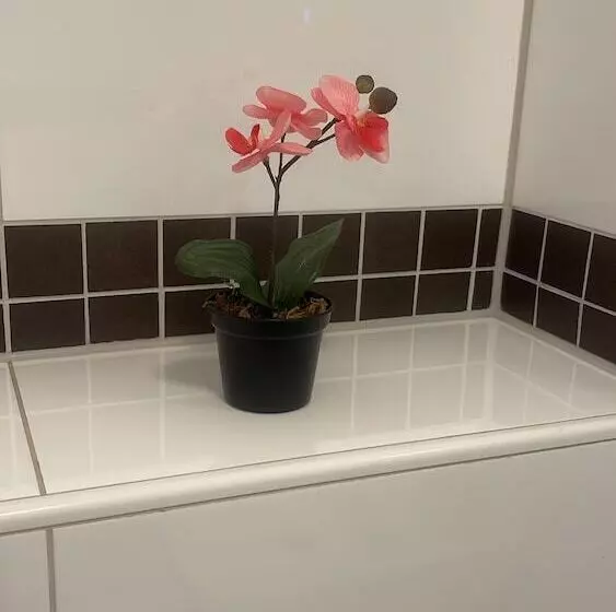 ユースホステル Zimmer In Wesseling Brühlerstr