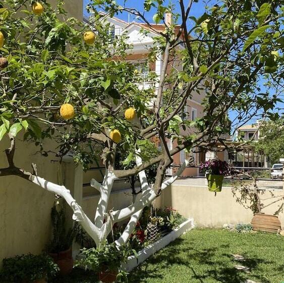 Lefkada Blue   Apartments