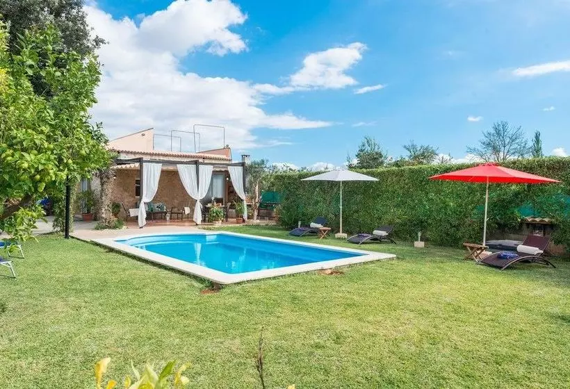 Ideal Property Mallorca   Finca Alegre