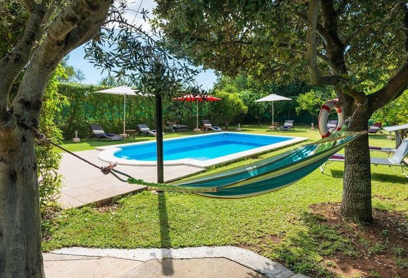 Ideal Property Mallorca Finca Alegre