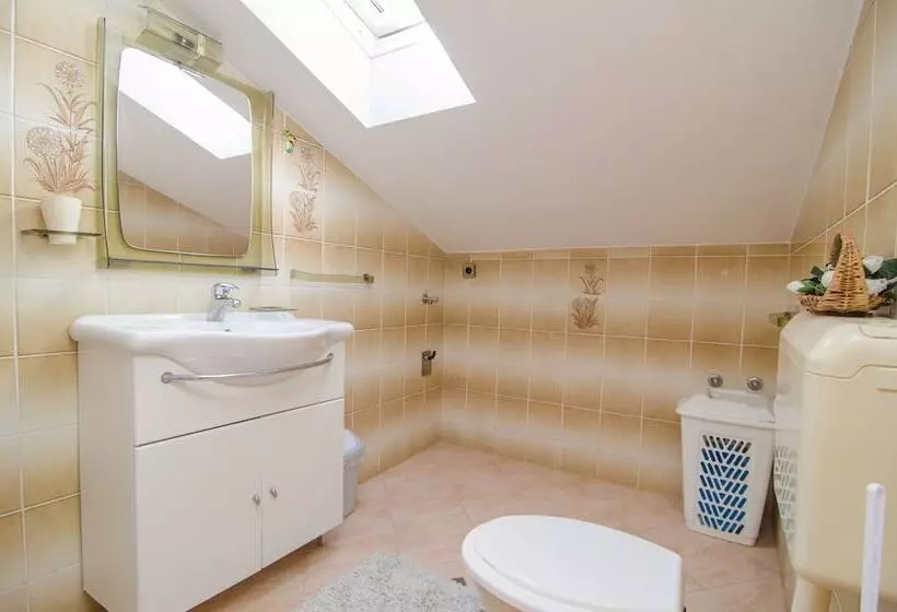 Apartments Amico