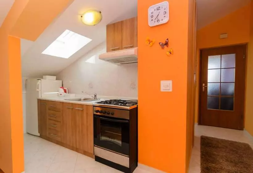 Apartments Amico