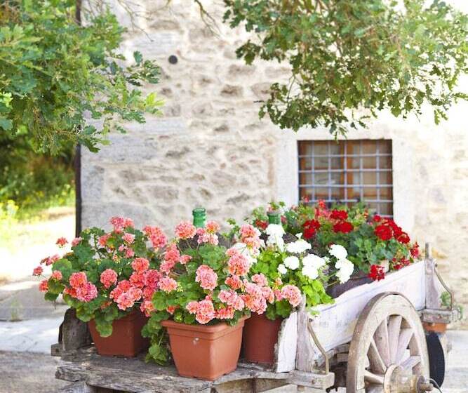 ホテル Agriturismo Tenuta Armaiolo