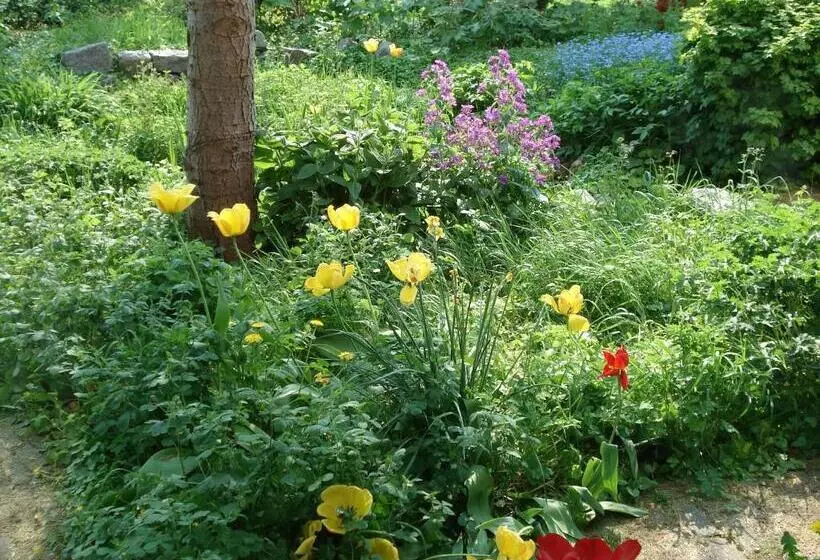 ホテル B&b Oosterpark