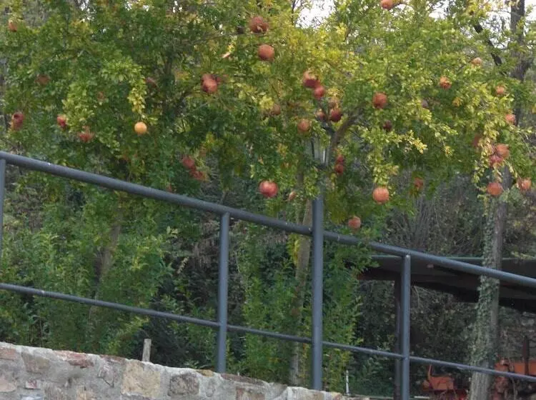 ホテル La Locanda Del Minatore