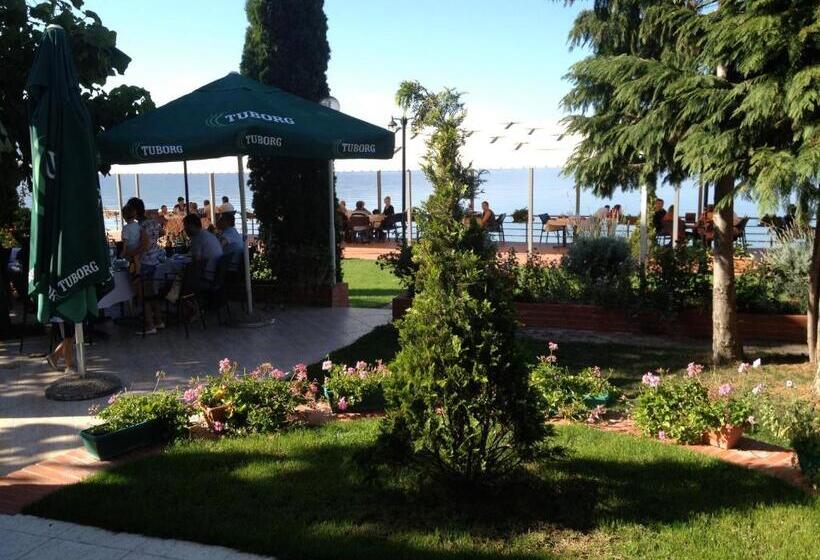 Отель Millennium