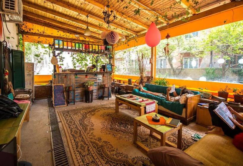 Mi Casa Es Tu Casa Shkodra Backpackers Hostel