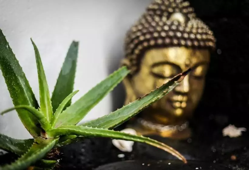 Villa Bahia Beach Club