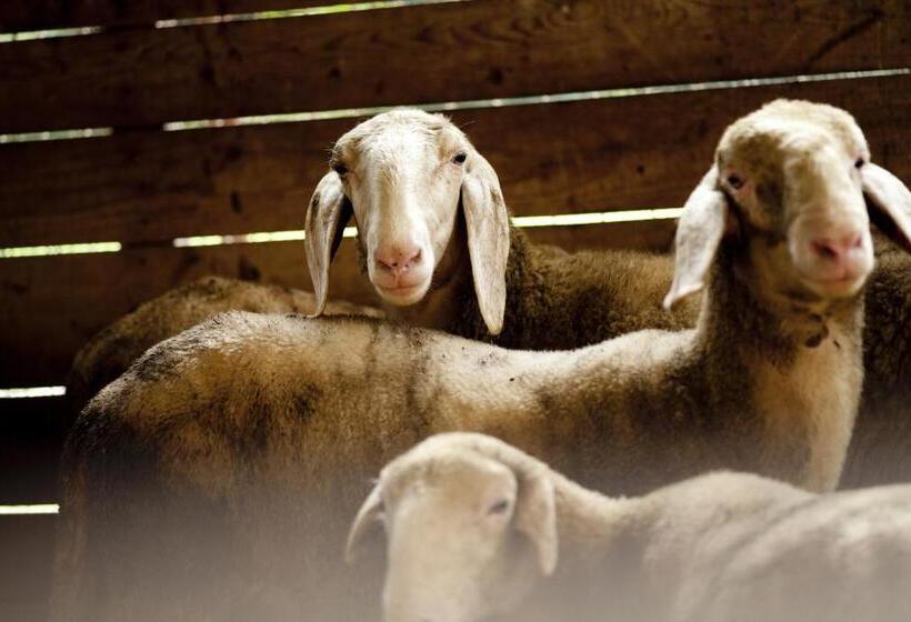 هتل B&b Al Sole Di Cavessago