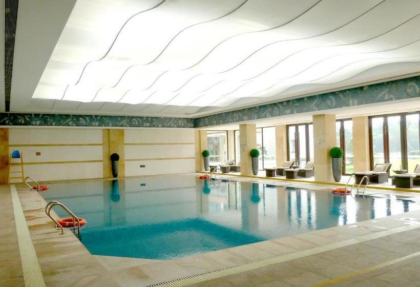 Отель Ondine International