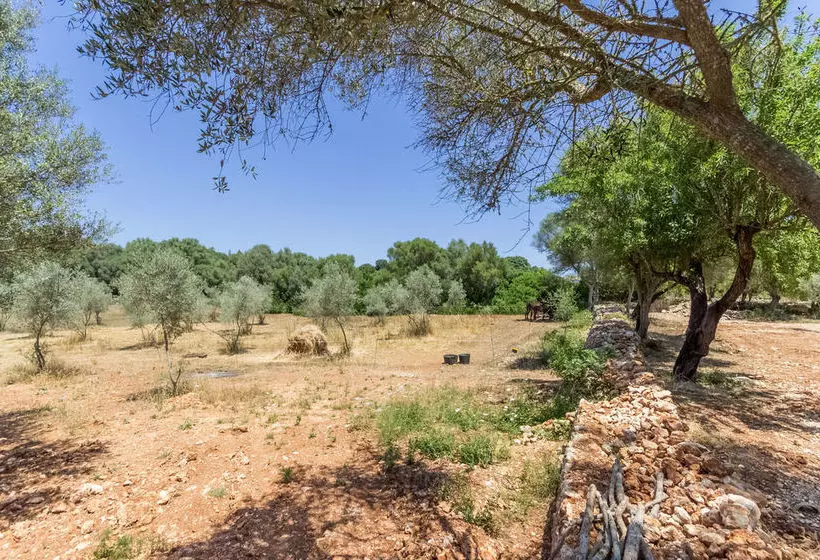 Casa Cascada