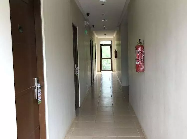 Hotel Coron Visitors