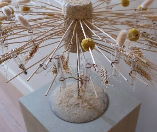 فندق Guesthouse Mirabel