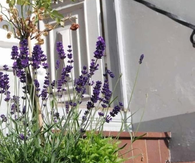 پانسیون L Villa Ronne