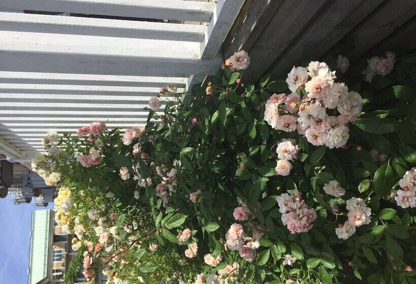 پانسیون L Villa Ronne