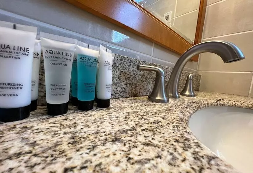 هتل Talk Of The Town Inn & Suites