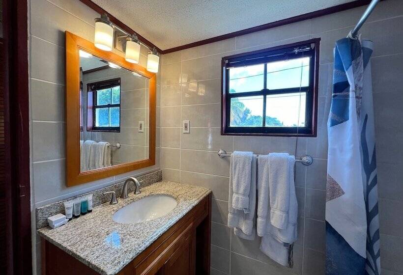 בית מלון כפרי Talk Of The Town Inn & Suites