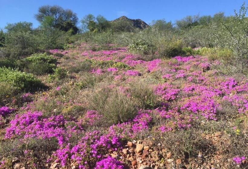 Calitzdorp Country House