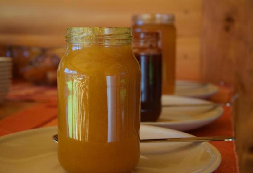 هتل Apartments Mrakic