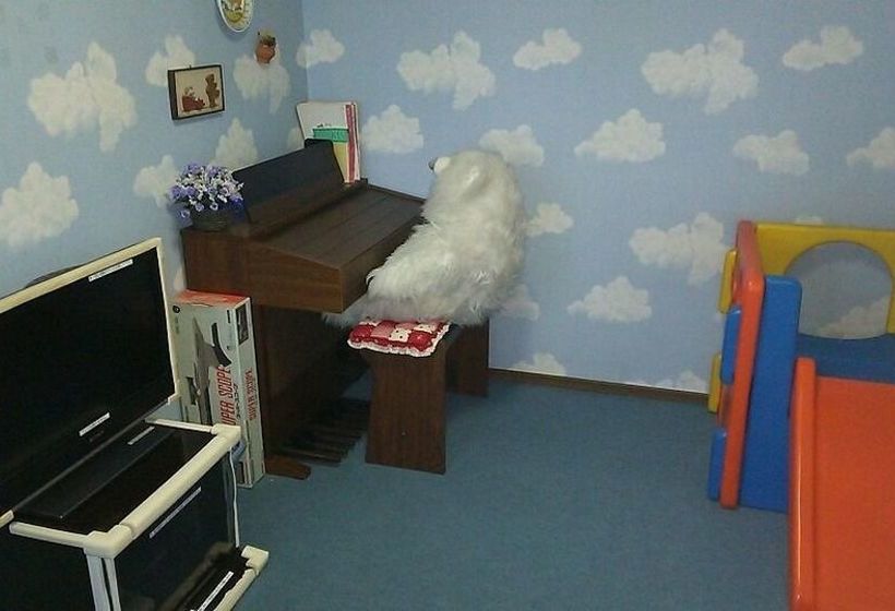 Hotell Villa Renga Tei