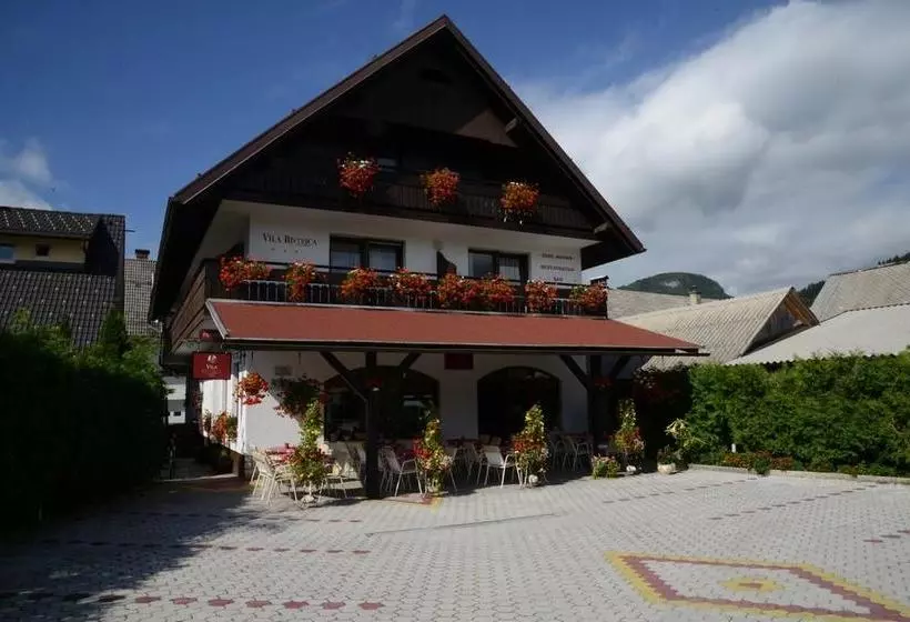 هتل Hostel Vila Bistrica