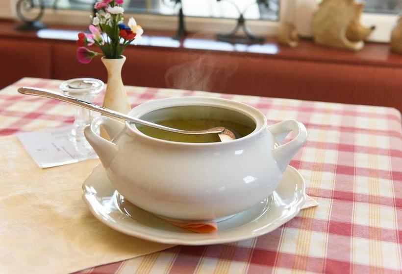 هتل Hostel Vila Bistrica