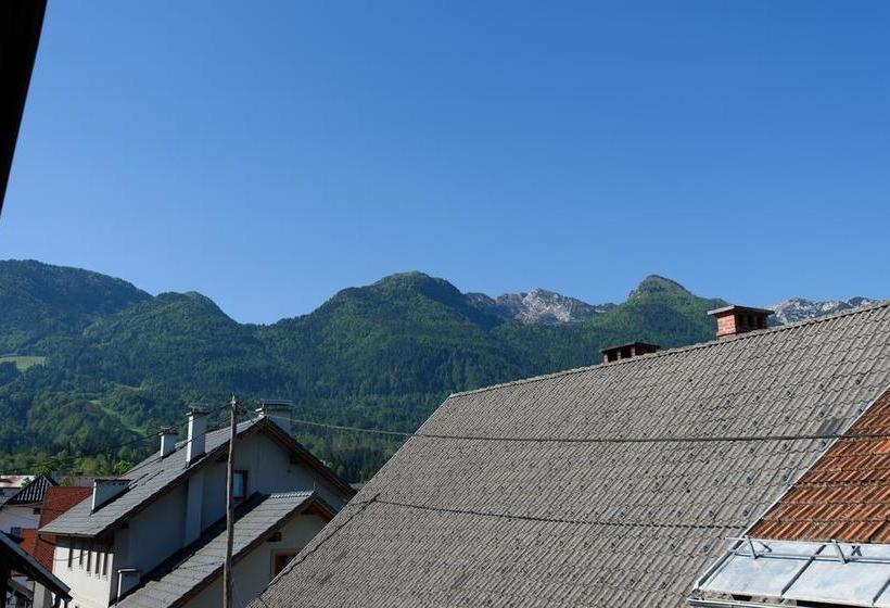 هتل Hostel Vila Bistrica