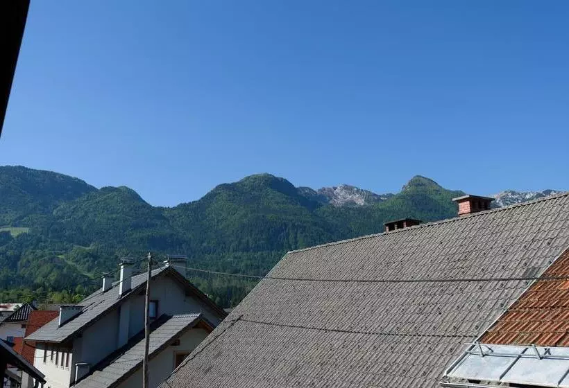 هتل Hostel Vila Bistrica