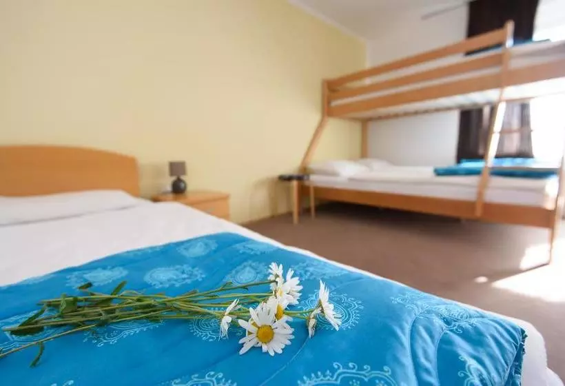 هتل Hostel Vila Bistrica