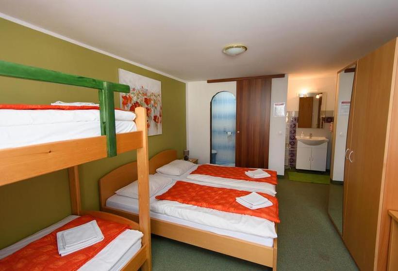 هتل Hostel Vila Bistrica