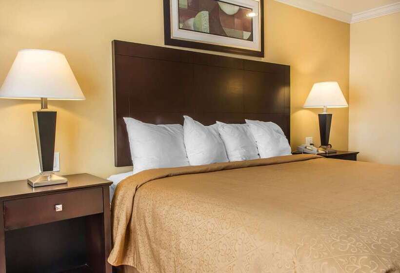 酒店 Quality Inn Near Mountain Creek