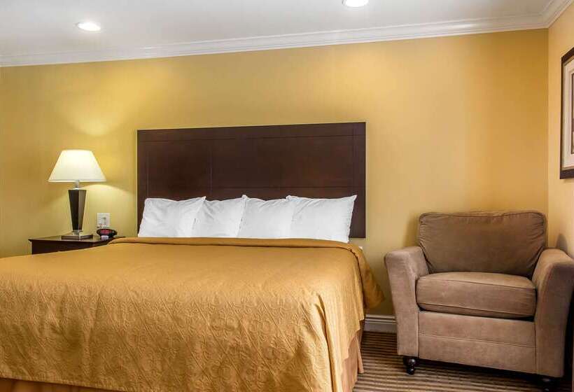 酒店 Quality Inn Near Mountain Creek