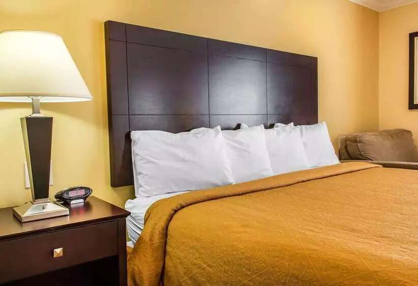 ホテル Quality Inn Near Mountain Creek