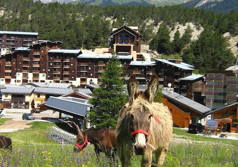 호텔 Résidences La Norma