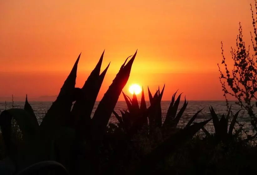 ホテル St.george S Bay Country Club & Spa