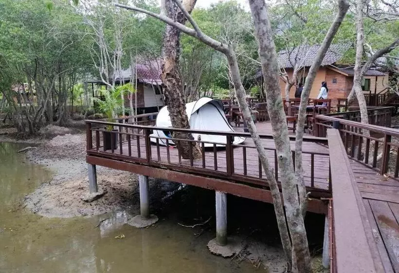 Lomakeskus Api Api Eco Chalet