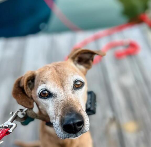 호스텔 Stunning Retreat Carter S Creek Close To Tides Inn