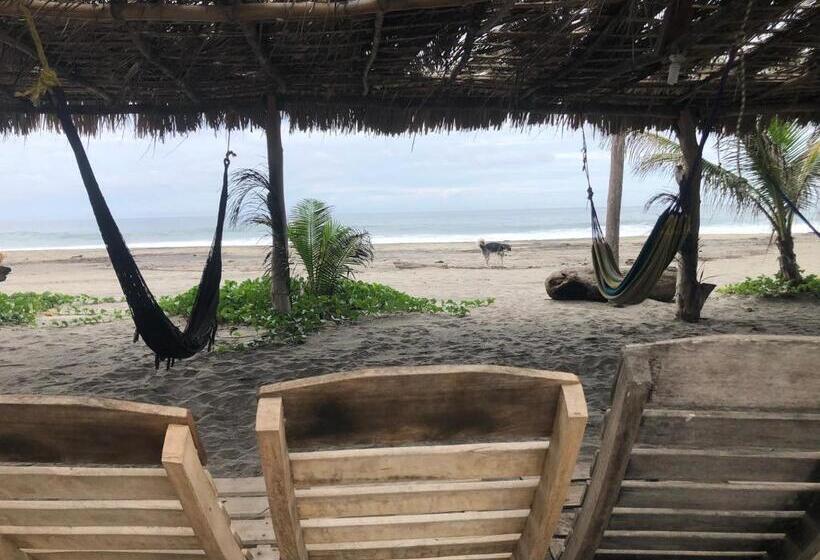 Отель Hab #9 La Casa Del Profe Salo