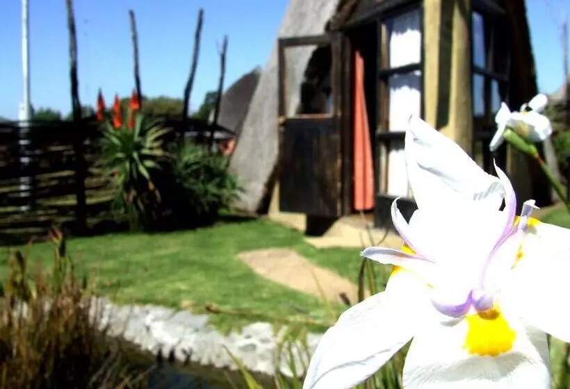 هتل Hawane Resort