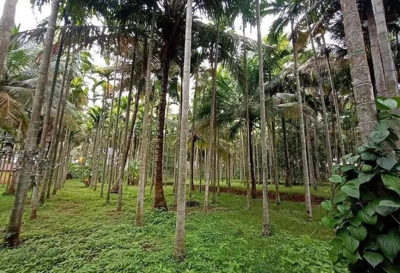 ホテル Kabini Farm Stay