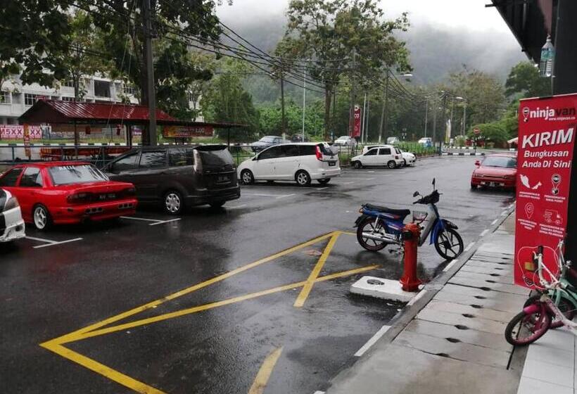 פנסיון World Kids Fantasy