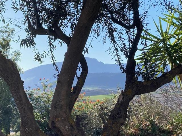 住宿加早餐 Casa Del Sueño