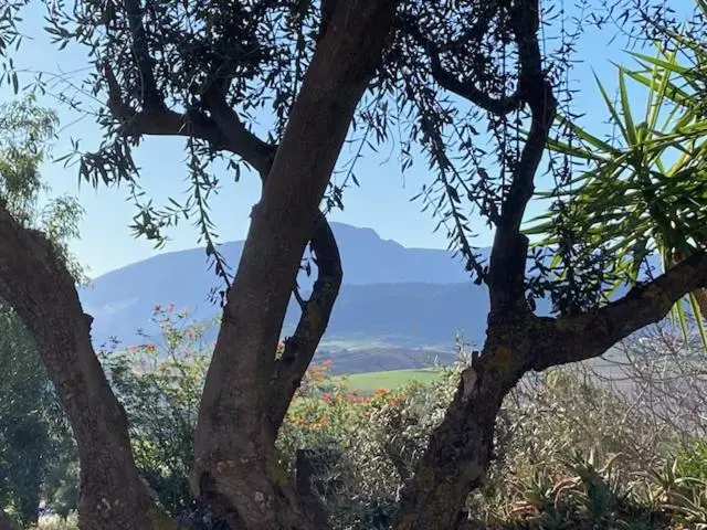 Aamiaismajoitus (B&B) Casa Del Sueño