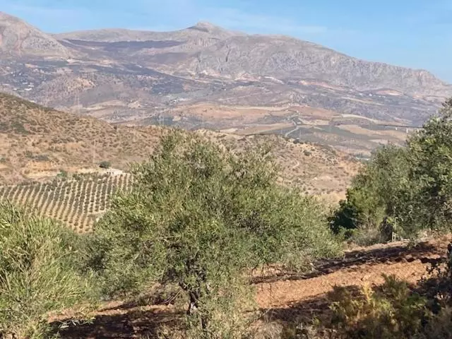 Aamiaismajoitus (B&B) Casa Del Sueño