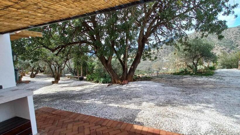 住宿加早餐 Casa Del Sueño