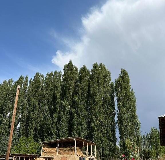 تختخواب و صبحانه Ecospace Kgz